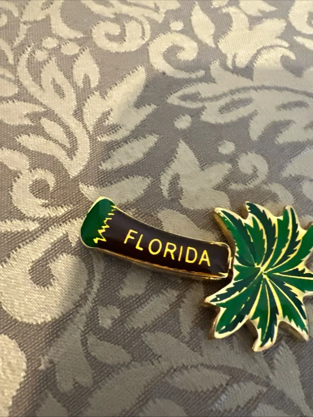 Vintage souvenir florida